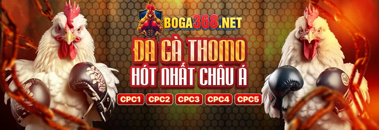 Công nghệ và bảo mật 555win55 nhà cái