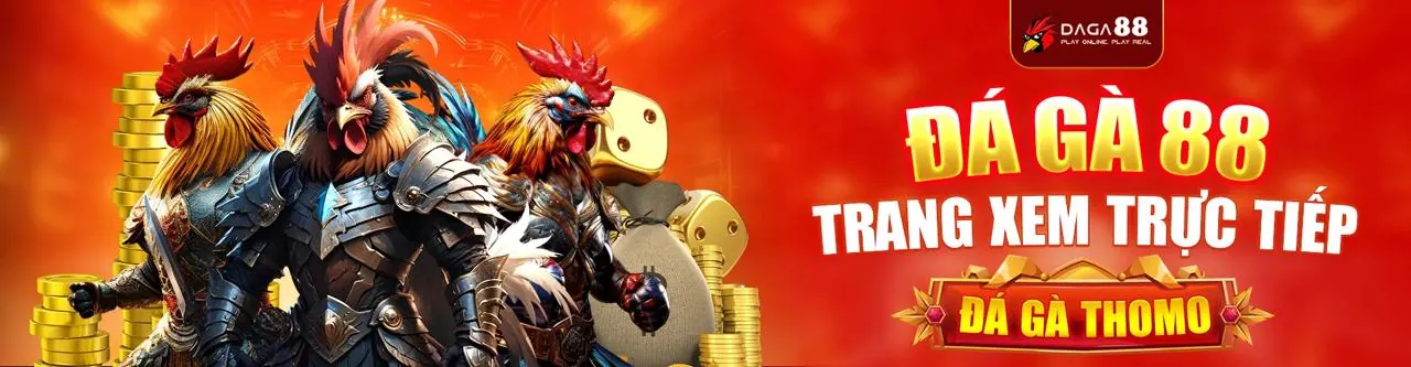 Đá Gà Trực Tuyến 555win55 nhà cái