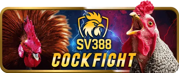 Điều khoản và điều kiện khuyến mãi 555win55 nhà cái