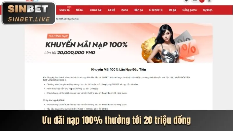 Lợi ích VIP 555win55 nhà cái